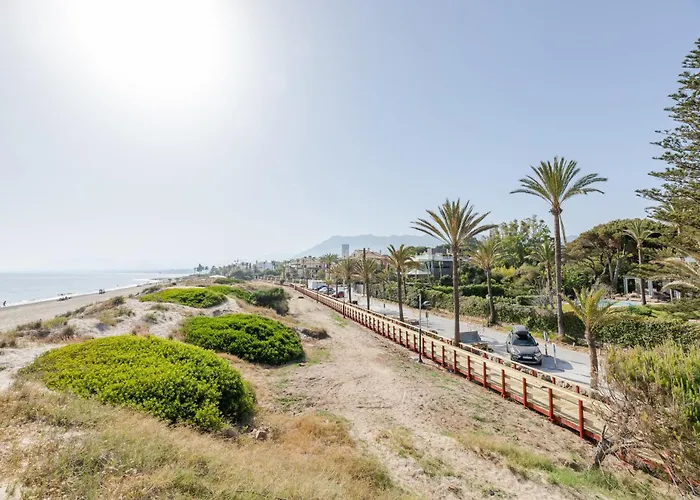 Palm Beachfront