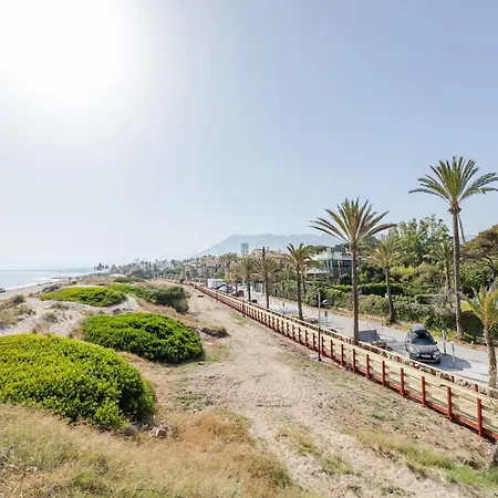 Palm Beachfront
