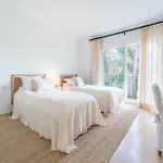 Apartment Palm Beachfront